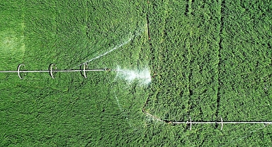 Çiftçilerin tarımsal amaçlı su kullanım hizmet bedelleri yüzde 50 desteklenecek
