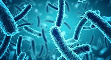 Daha iyi bir iç mekan, bakteri oluşumunu engelliyor