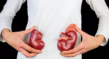 Dikkat böbrek kanseri sinsi ilerliyor! İşte en önemli risk faktörleri