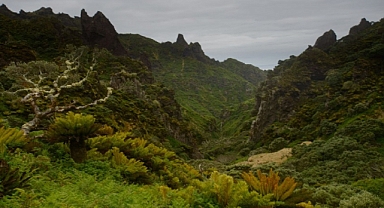 Dünyanın en ücra adasında aylık 55 bin liraya iş ilanı