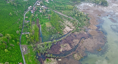 Efteni Gölü havzası son yağışlarla suya doydu