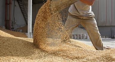 Ege Bölgesi’nden yapılan tarım ürünleri ihracatı 7 milyar doları aştı 