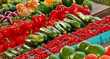 Egeli yaş meyve sebze ve mamul ihracatçıları 2023 yılında 1,5 milyar dolar ihracat hedefliyor 