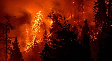 Ekstrem iklim olaylarının, felaketzedelerin beyinlerinde uzun vadeli etkiler bıraktığı ortaya kondu