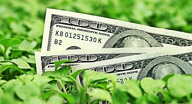 Hazine ve Maliye Bakanlığından dolar cinsinden yeşil tahvil ihracı için 3 finans kuruluşuna yetki 