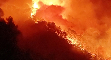 Honduras'ta bu yıl orman yangınlarından 33 bin hektar alan etkilendi