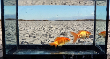 İklim Değişikliği