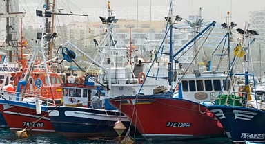 İklim kampanyası: AB çapında balıkçılık endüstrisine yakıt sübvansiyonunu kesin
