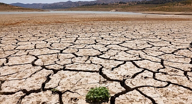 İspanya'nın kuraklık sorunu her geçen gün artıyor