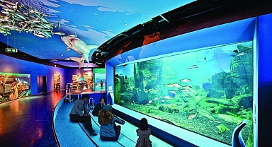 İstanbul Akvaryum: Sayısız Canlı Türüyle Eşsiz Bir Görsel Şölen Yaşatan Dünyanın En Büyük Tematik Akvaryumu 