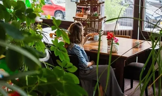İstanbul'daki Sürdürülebilir Dostu Kafeler