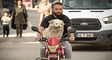  Kahramanmaraş'ta depremden en az etkilenen ilçelerden Çağlayancerit'in nüfusu yaklaşık yüzde 60 arttı