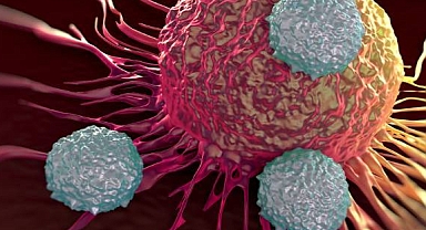 Kanserde hızlı tanı, etkin tedavi dönemi