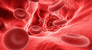 Kesintisiz tedavi ve doğru bilgilendirme hemofilik bireyler için kritik önem taşıyor