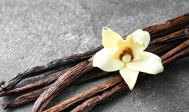 Kimse bu baharatın farkında bile değil! Akciğerlerin nefes kaynağı seçildi