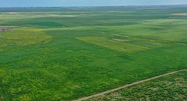 KKTC'deki tarımsal kuraklığa, Türkiye'den boru hattıyla getirilen su çare olacak