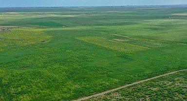  KKTC'deki tarımsal kuraklığa, Türkiye'den boru hattıyla getirilen su çare olacak 