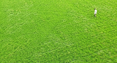 Konya Ovası'nda çiftçi mart ve nisan yağışlarından memnun