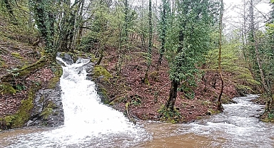 Kuraklık alarmı veren Kazdağları'ndan sevindiren görüntü