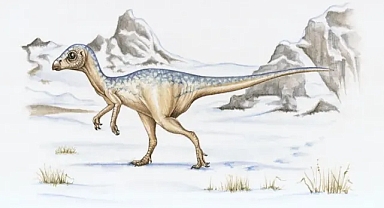 Kutup dinozorlarının sırrı çözüldü