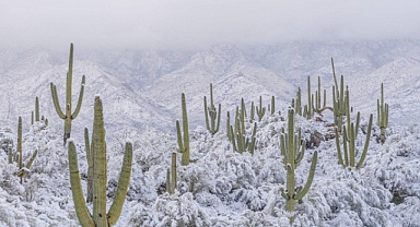 Kuzey Amerika'nın en sıcak çölüne kar yağdı