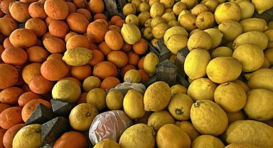 Narenciye ihracatında yılın ilk çeyreğini mandalina ve limon sırtladı