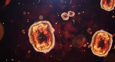 Okyanusta yeni virüsler keşfedildi 