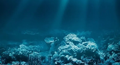 Okyanusun 8 bin metre derinliğinde insan yapımı kanserojen madde bulundu