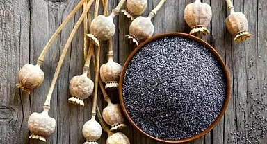 Omega-3'te somon balığını solladı