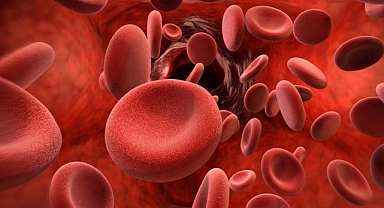 Prof. Dr. Birol Baytan: Hemofili genellikle sünnet sonrası ortaya çıkıyor 