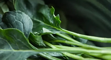 Saç dökülmesine karşı her gün tüketin! Kelliği tarihe gömen mucize besin
