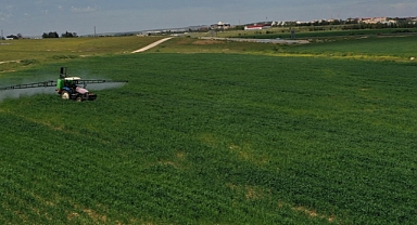 Şanlıurfalı hububat üreticilerini mart ve nisandaki yağışlar umutlandırdı