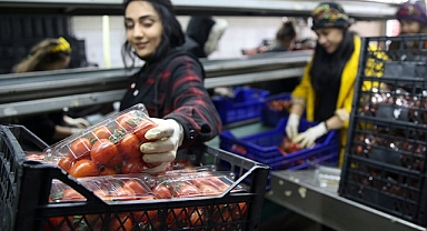 Sebze ve meyvelerin miktar kayıpları Hal Kayıt Sistemi'nden beyan edilebilecek