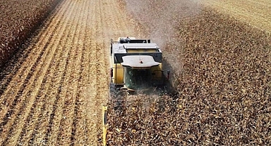 Tarım ÜFE martta aylık yüzde 1,79, yıllık yüzde 106,77 arttı 