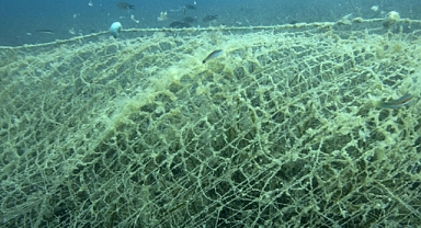 Türkiye denizleri ve iç suları 
