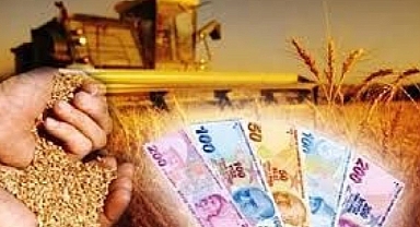 Türkiye Kalkınma ve Yatırım Bankası’ndan iklim değişikliğiyle mücadele için 110 milyon avroluk kaynak