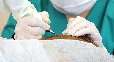 Türkiye'nin sağlık turizmi geliri 5 adımla 20 milyar dolara çıkabilir