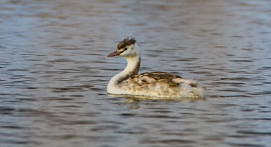 Yozgat Bozok Üniversitesi 