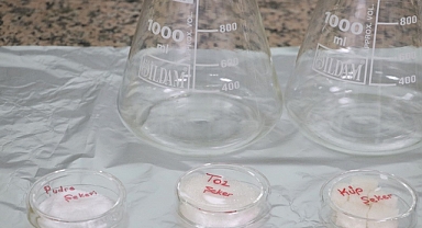 100 gram şekerde 20 bin mikroplastik