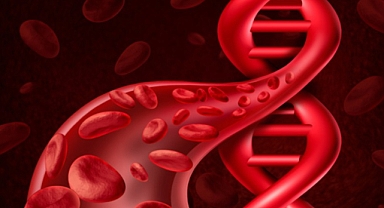 8 Mayıs Dünya Talasemi Günü