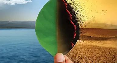 Araştırma: İklim krizi nedeniyle dünyanın iklim haritasının baştan çizilmesi gerekecek