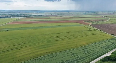 Bereketli bahar yağmurları Trakya'yı kuraklık haritasından çıkardı.
