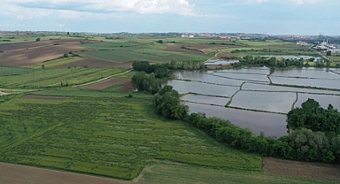 Bereketli bahar yağmurları Trakya'yı kuraklık haritasından çıkardı