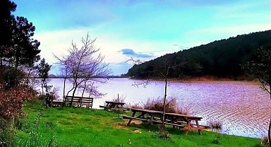 Betonun içinde Yeşeren Umutlar ''Aydos Ormanları''