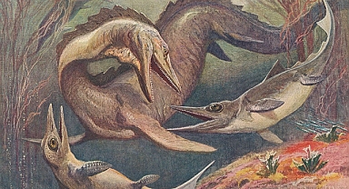 Bir Arktik Adasında En Eski İhtiyozor Fosili Keşfedildi