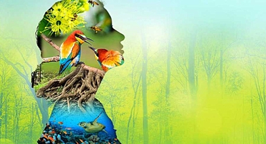 Biyoçeşitlilik, konuşma konusu olarak iklim değişikliğini yener 