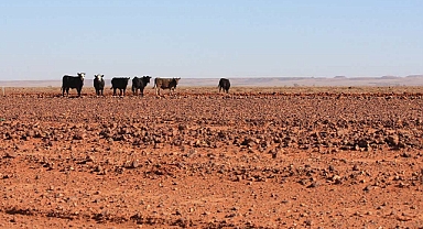 BM: El Niño İhtimali Arttıkça Sıcaklık Rekorları Kırılabilir