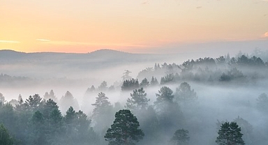 Bolu Dağı'nda sis etkili oluyor