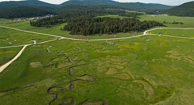 Bolu'nun her mevsim ayrı güzel yaylası: Sarıalan 