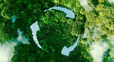 Brisa, 3 ayrı kategoride adını Karbon Saydamlık Projesi (CDP) liderleri arasına yazdırdı 